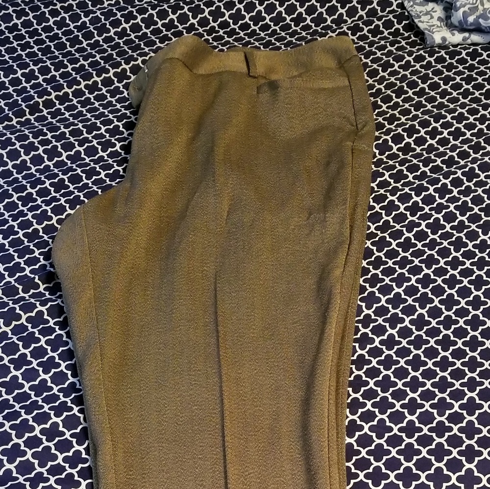 Dress pants